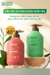 Combo Dầu Gội Xả Bưởi Trà Cỏ Cây Hoa Lá 350g – Phục Hồi & Chăm Sóc Tóc Hư Tổn